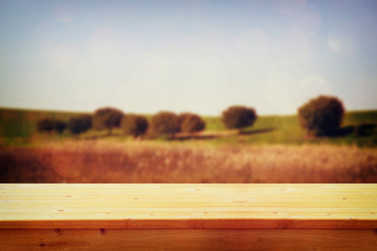 wood board table in front of summer landscape of field with tree