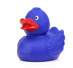 rubber duck on a white background.