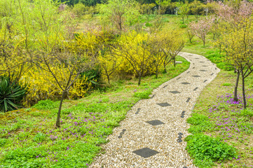 The walkway in a garden