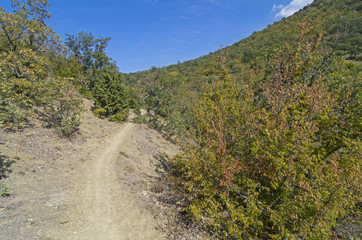 Fototapeta na wymiar Walking trail in the Crimean mountains.