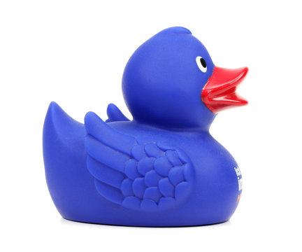 Rubber Duck On A White Background