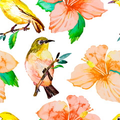 Watercolor pattern. Tropical birds and flowers. White-eye bird