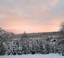 Schwarzwald im Winter