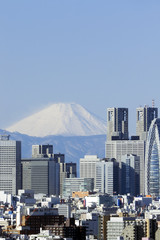 富士山と新宿高層ビル群を望む 2015年2月
