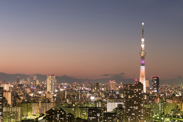 Fototapeta na wymiar 日没直後の東京スカイツリーライトアップと美しい東京都心全景