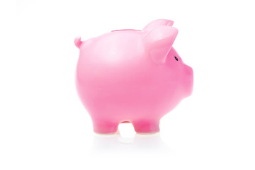 Pink Piggy Bank