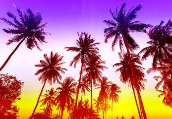 Fototapeta na wymiar Palm trees silhouettes on tropical beach at sunset.