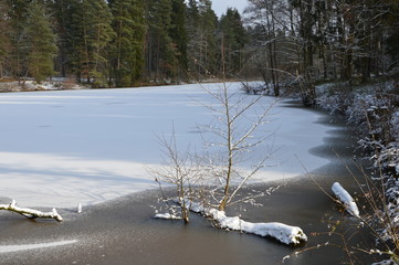 Winter Landschaft