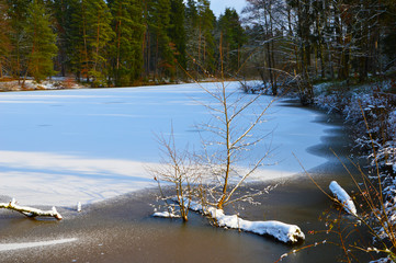 Winter Landschaft