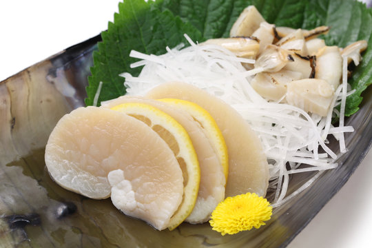 pen shell sashimi, japanese cuisine