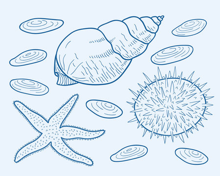 Sea Collection In Sketch Style