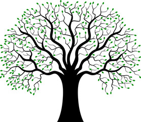 Green tree illustration