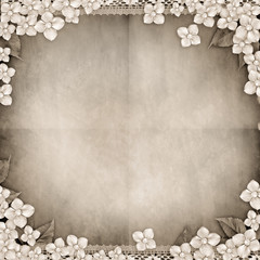 Template of album page