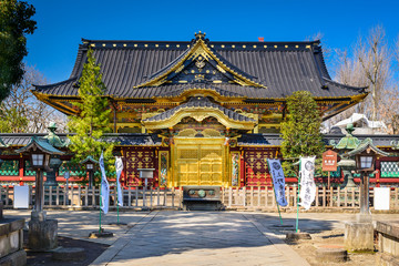 Obraz premium Toshogu Shrine in Tokyo