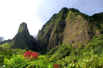 Cercles muraux Parc naturel Aiguille Iao, Maui Hawaï