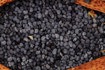 natural poppy seeds background