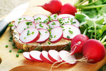 Vollkornbrot mit frischen Radieschen und Schnittlauch, Textraum, copy space