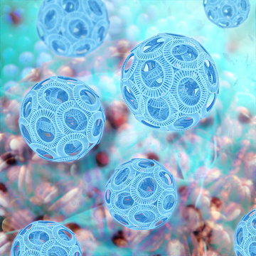 Coccolithophoriden - 3d Render