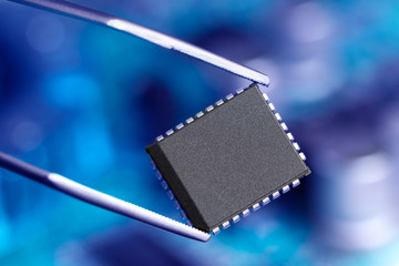 Microchip