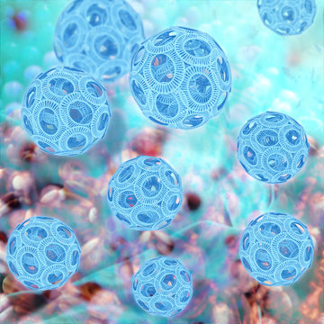 Coccolithophoriden - 3d Render