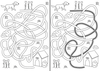 Dog maze