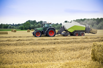 Fototapeta premium Tractor harvests wheat on a field