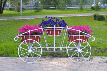 Клумба