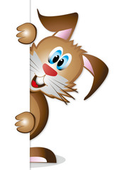 Bunny Closeup Osterhase von der Seite