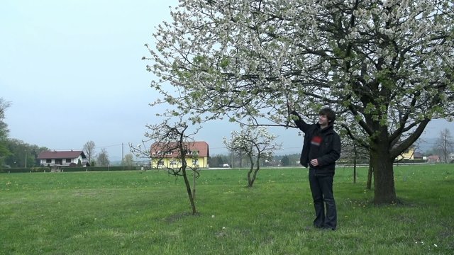 Man standing underneath blossoming tree

