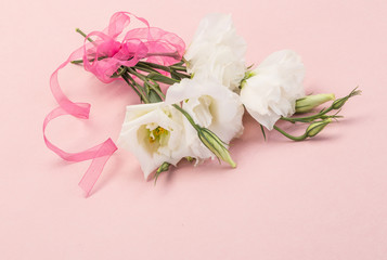 Obraz na płótnie Canvas white flowers on pink
