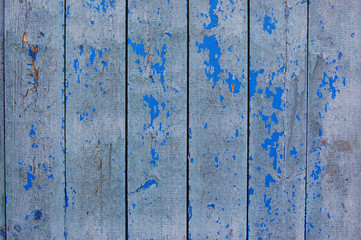 Fototapeta na wymiar Wooden Palisade background. Close up of wooden fence panels.