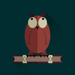 Owl on a book