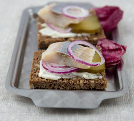 Sandwiches of rye bread with herring, onions and cucumber