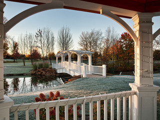frost covered garden