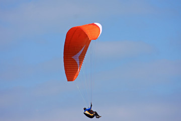 paraglider
