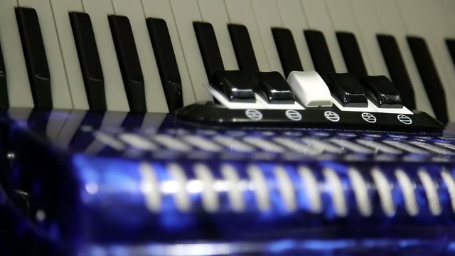 fisarmonica