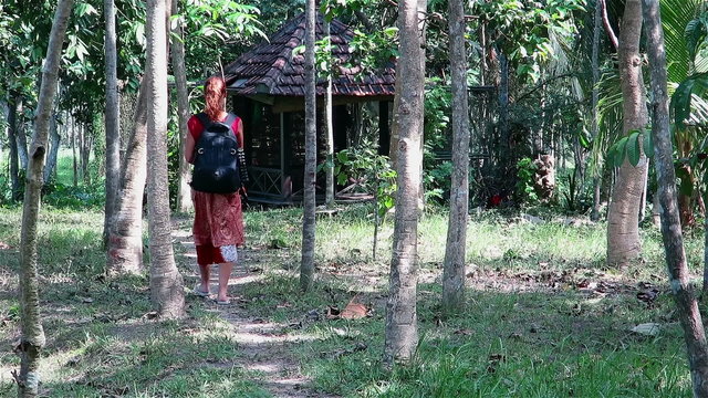 Girl with backpack walking on a path through tall trees
