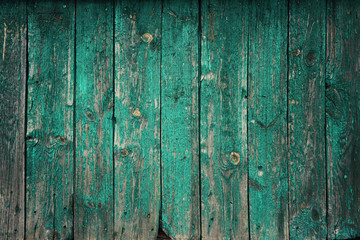 Green wooden background