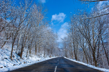 Winter road through the forest.