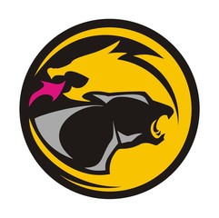 dragon panther circle