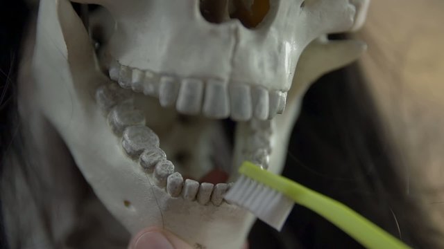 Brushing skull's teeth with a green toothbrush