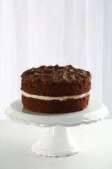 Delicious chocolate cake on table on light background
