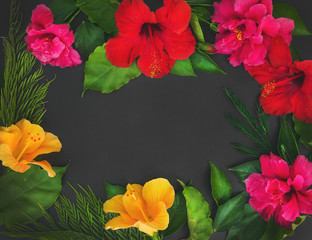 A frame of flowers (hibiscuses and dof roses) and green leaves o