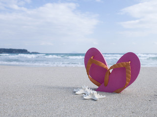 Starfish, sand, beach sandals