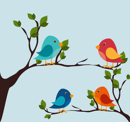 Bird design, vector illustration.