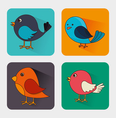 Bird design, vector illustration.