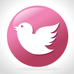 Bird design, vector illustration.