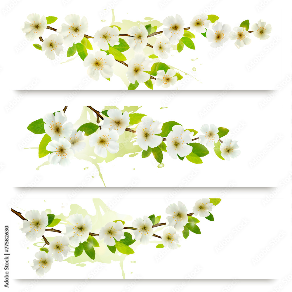 Poster three spring banners with blossoming tree brunch with spring flo