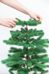 woman assembles an artificial Christmas tree on white background