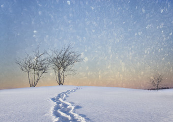 Bare trees in winter landscape